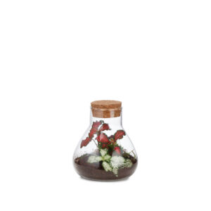 Terrarium Τerra Mini