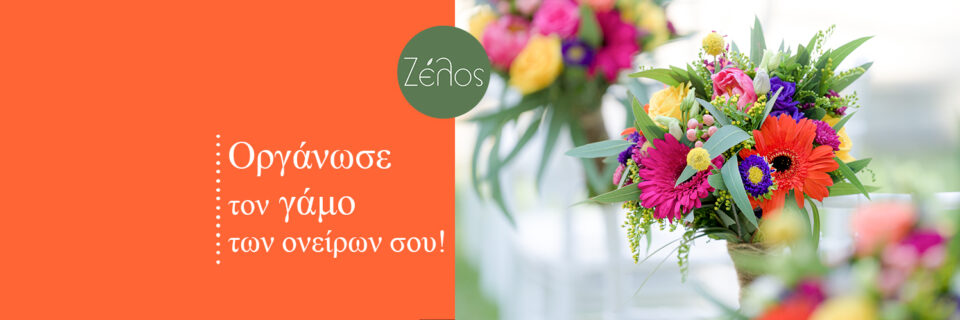 BLOG_TITLE1