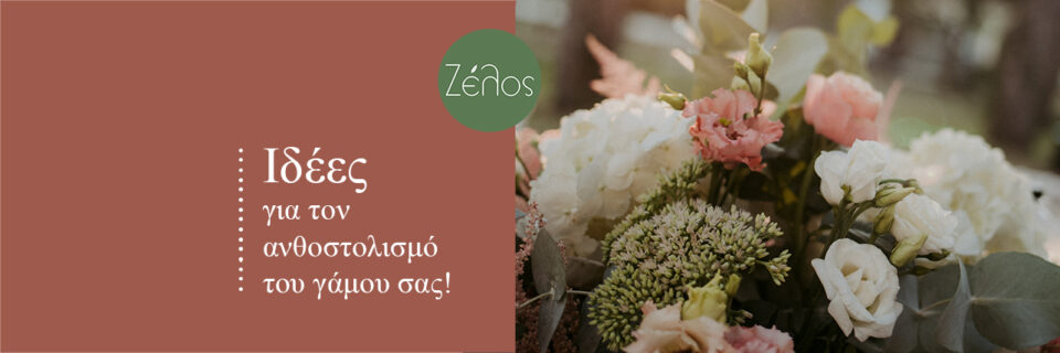 BLOG_TITLE4
