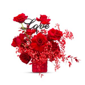 Red bubbles box- gypsophila edition
