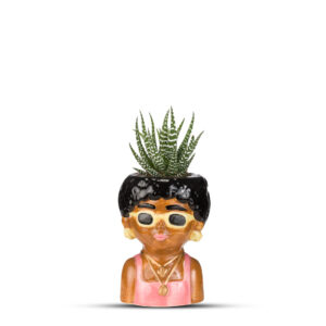 Groovy mini