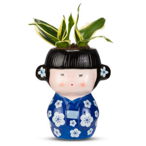 Geisha μπλε