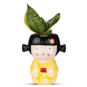 Geisha κίτρινη