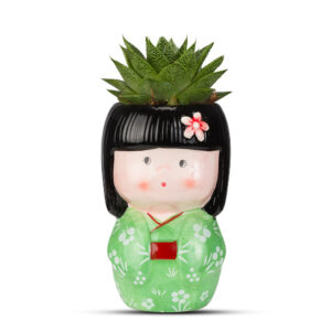 Geisha πράσινη